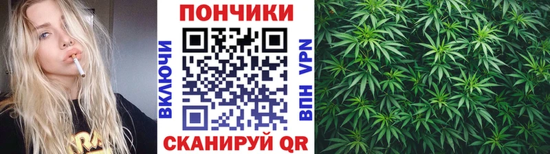 А ПВП Шацк