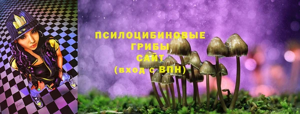 MDMA Новодвинск